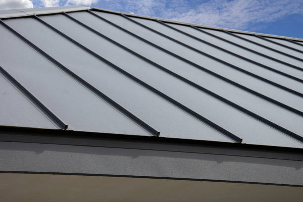 Best Roof Leak Repair  in Gardner, IL