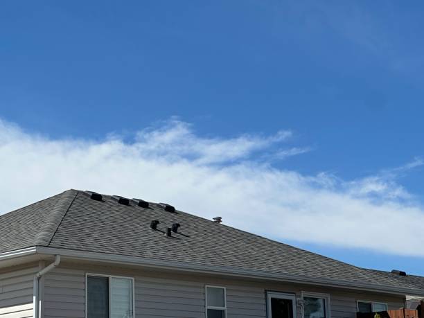 Best Asphalt Shingles Roofing  in Gardner, IL